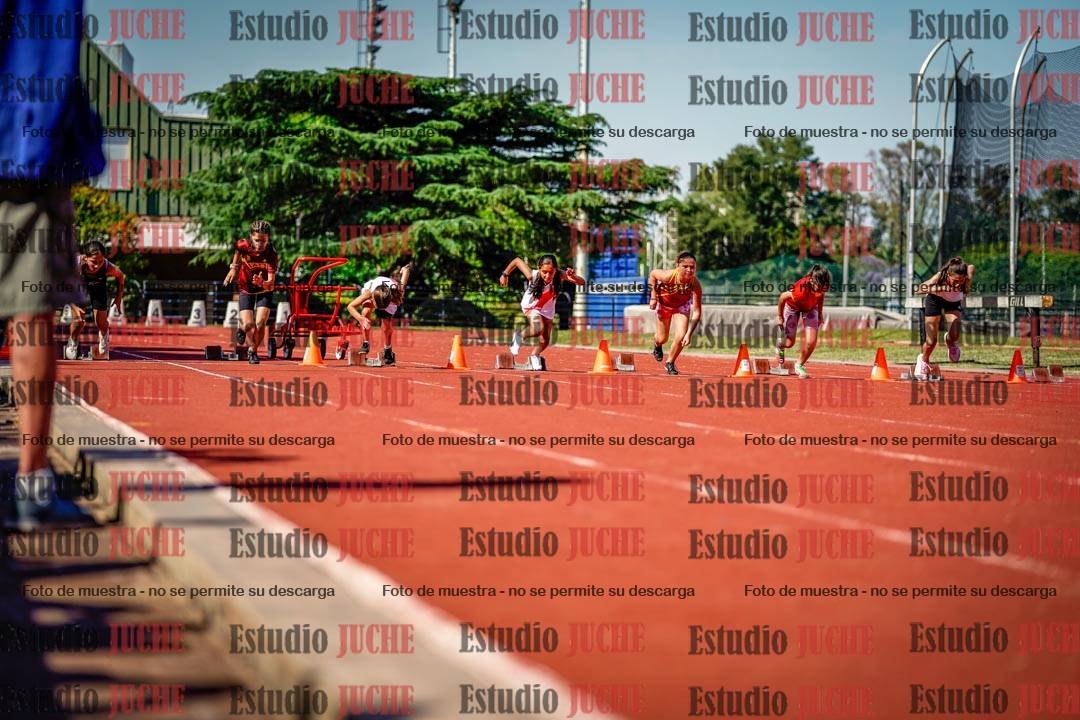 Fotos de los 50 m llanos de mujeres