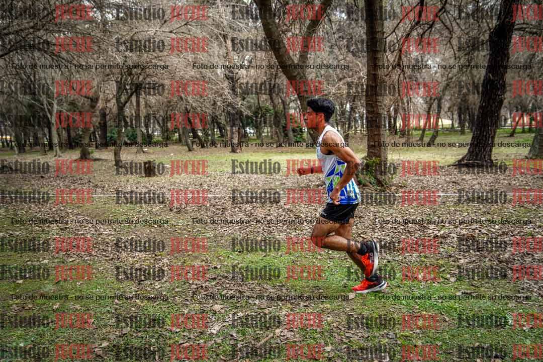Fotos en el circuito