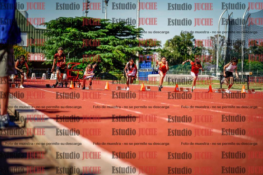 Fotos de los 50 m llanos de mujeres