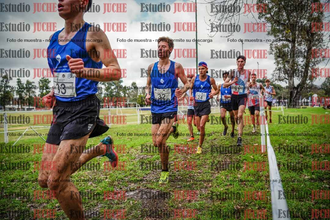 Fotos en el circuito