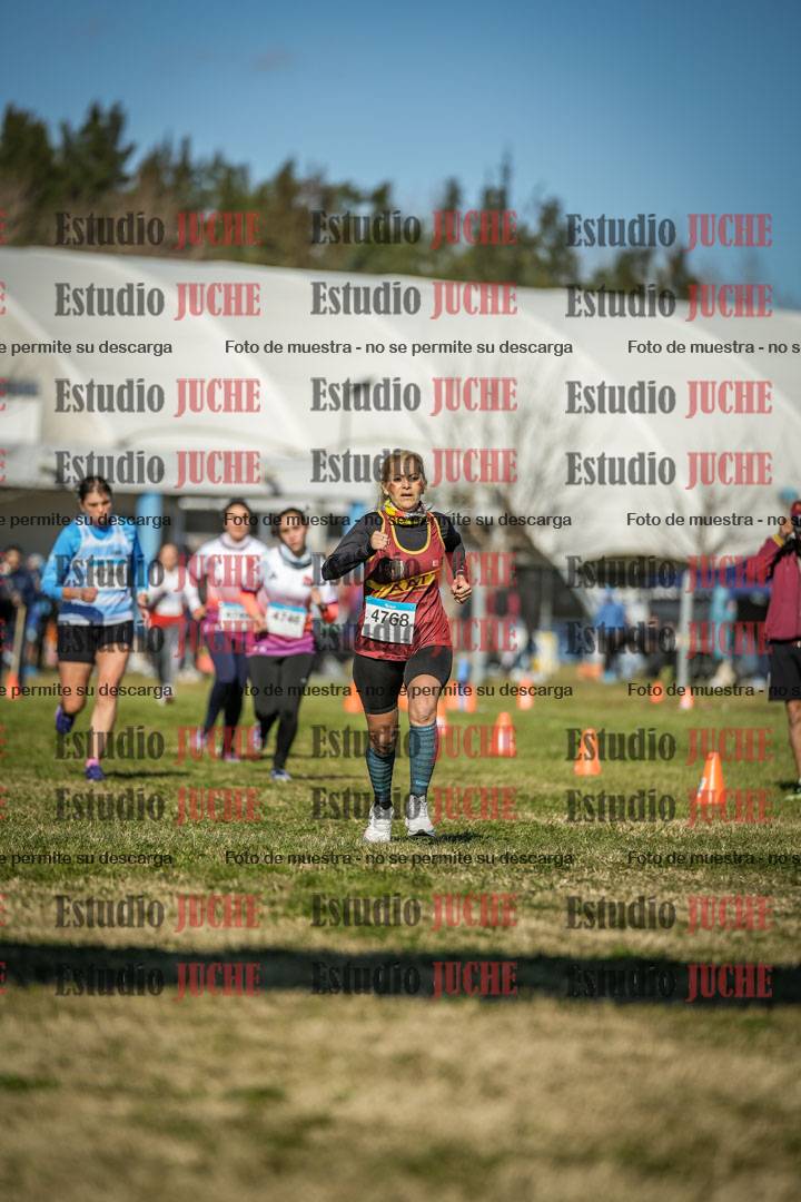 Fotos de las llegadas