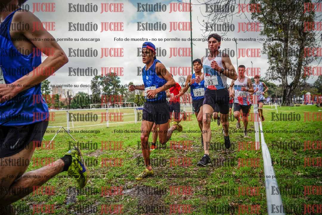 Fotos en el circuito