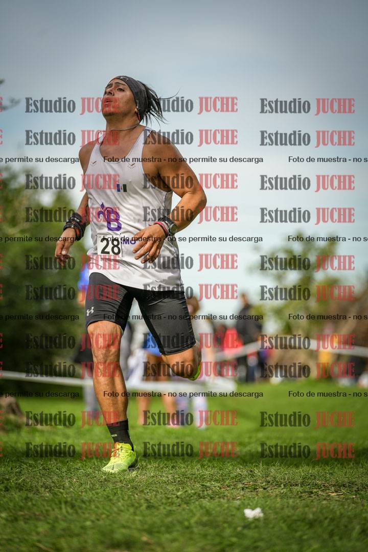 Fotos de la llegada del cross de 8000 m