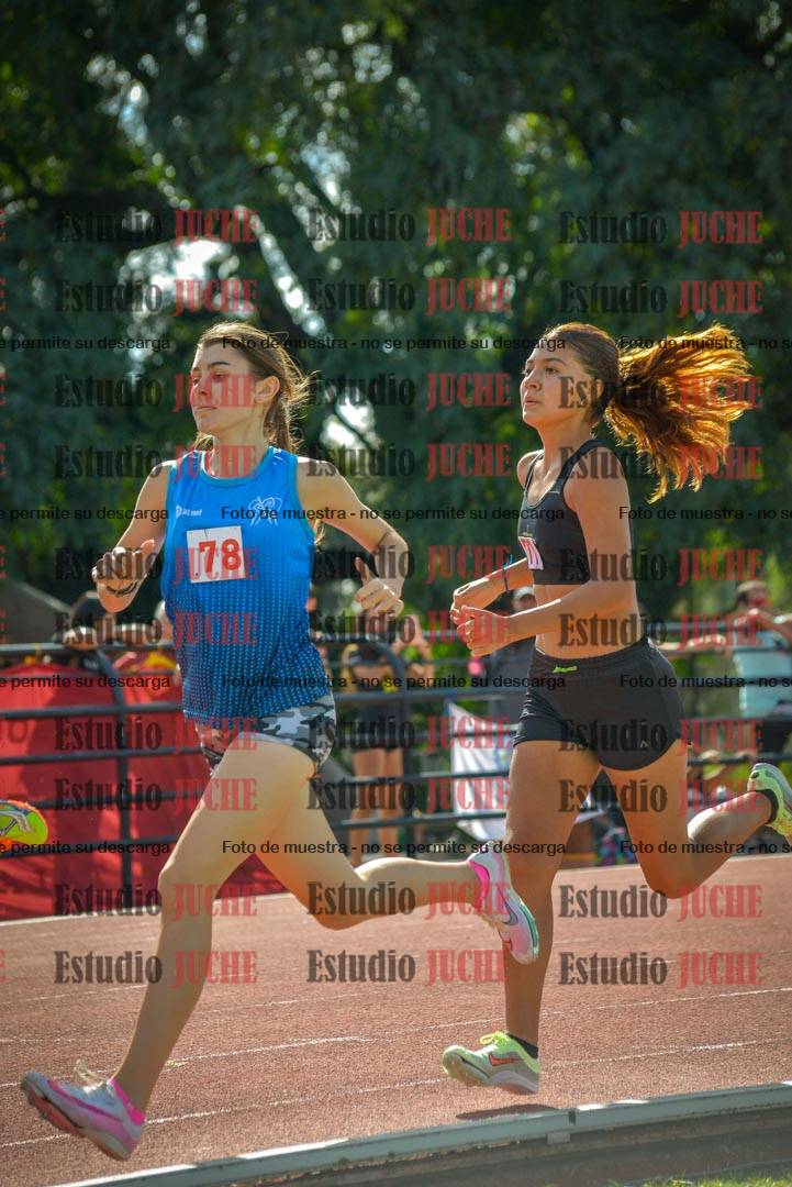 Fotos de los 800 m llanos de mujeres