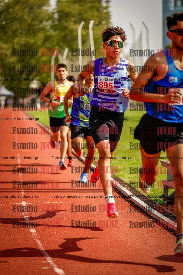 Fotos de los 3000 m llanos de varones