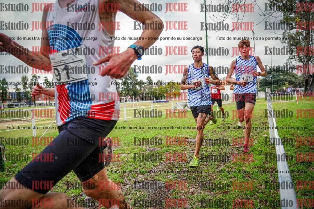 Fotos en el circuito