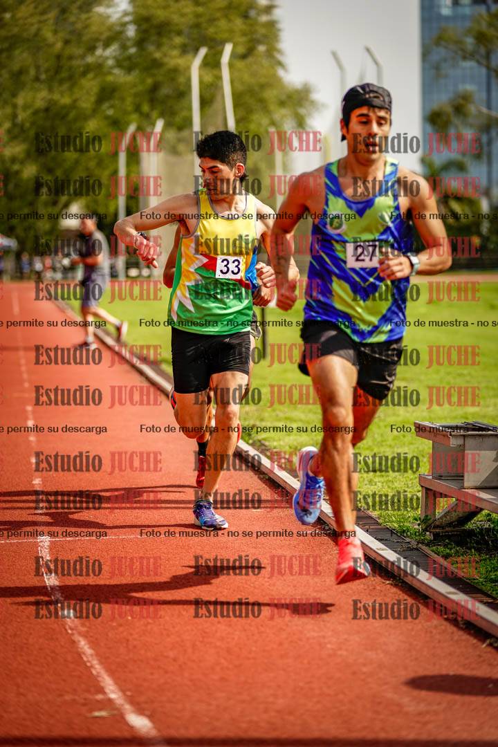 Fotos de los 3000 m llanos de varones