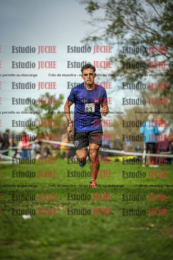 Fotos de la llegada del cross de 8000 m
