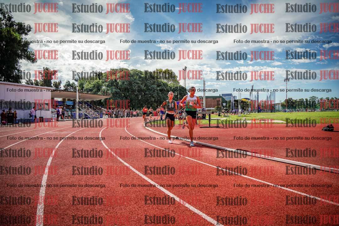 Fotos de los 800 m llanos de mujeres