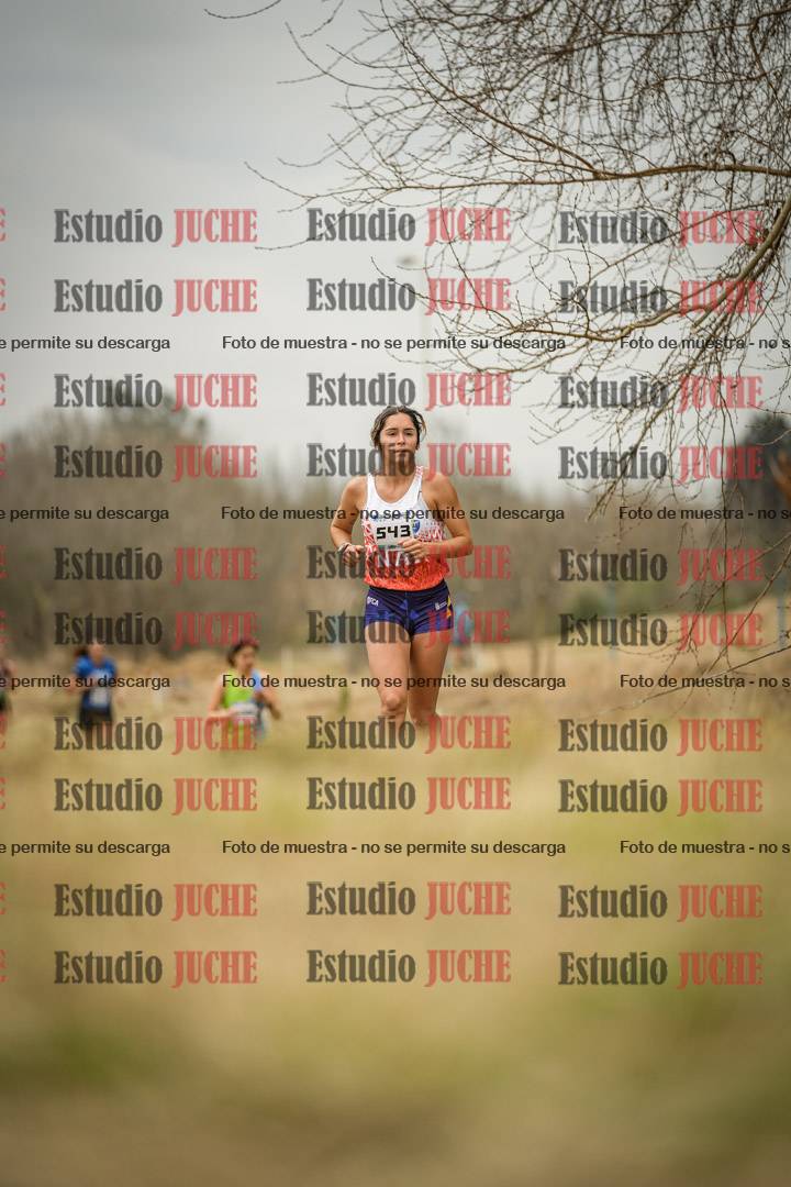 Fotos en el circuito