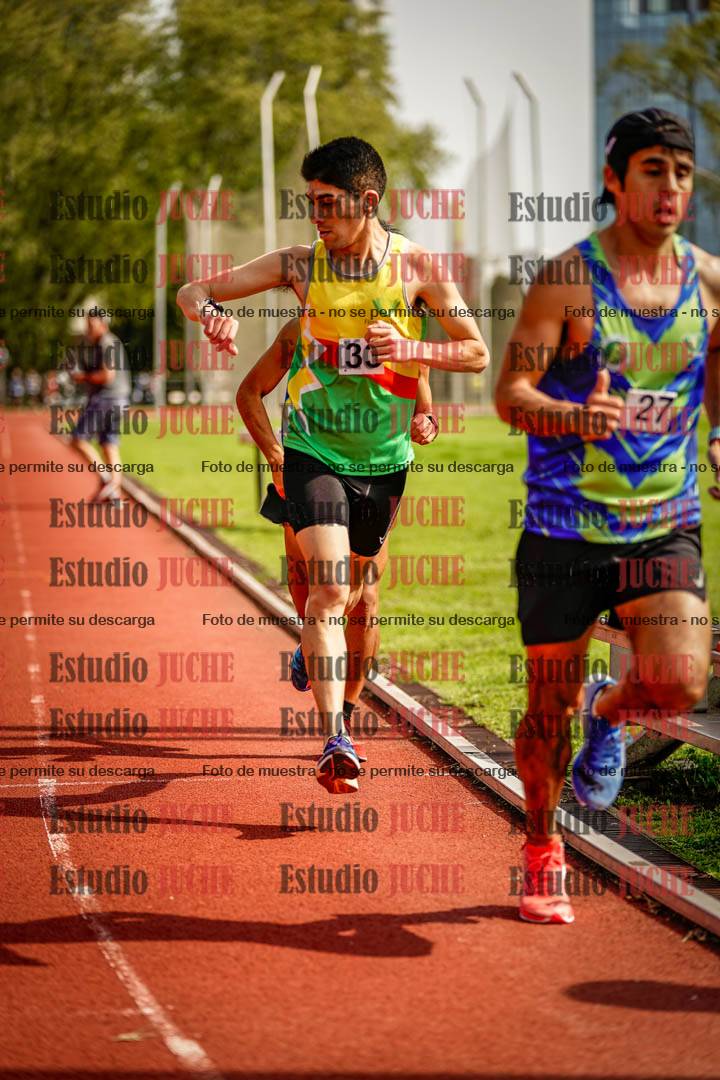 Fotos de los 3000 m llanos de varones