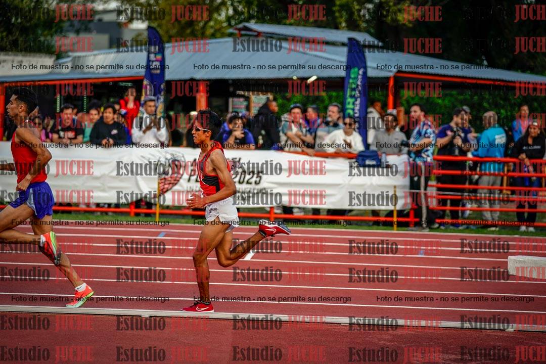 Fotos de los 10.000 m llanos de varones