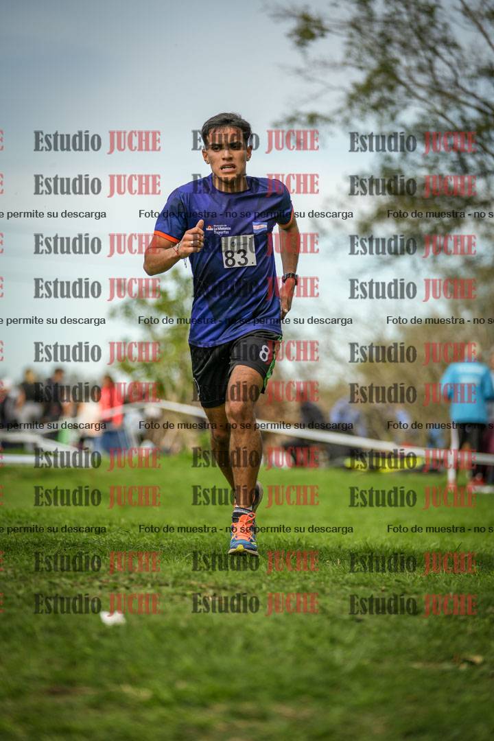 Fotos de la llegada del cross de 8000 m