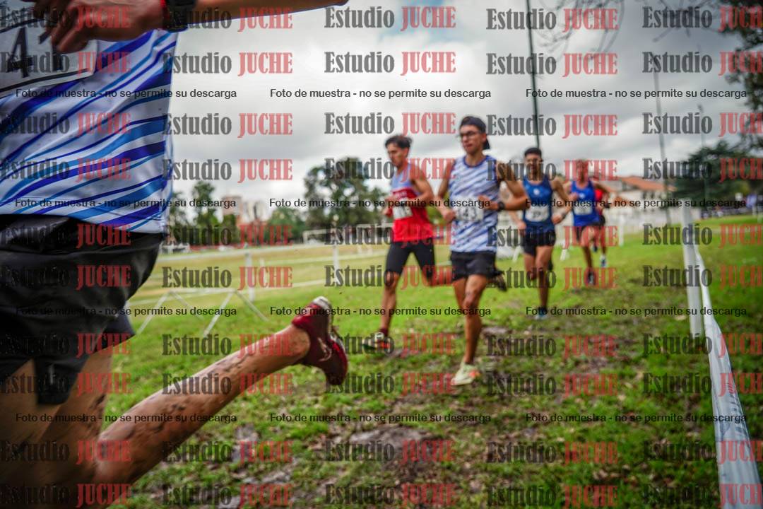 Fotos en el circuito