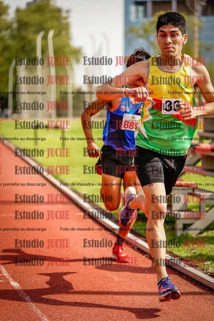 Fotos de los 3000 m llanos de varones