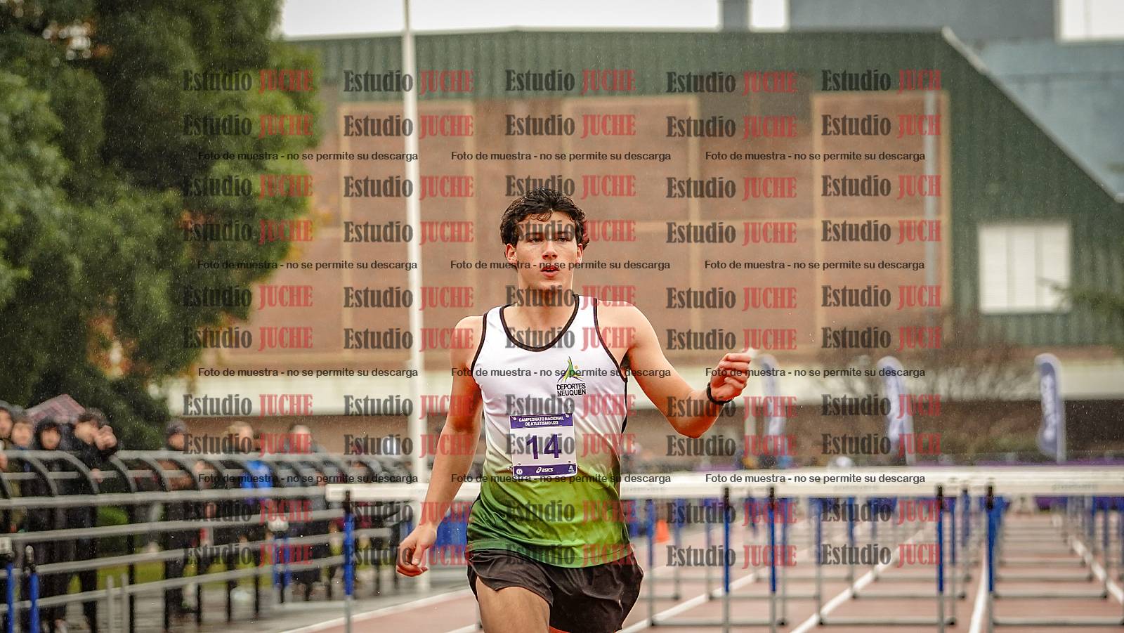 Fotos de los 110 m con vallas de varones - FINAL