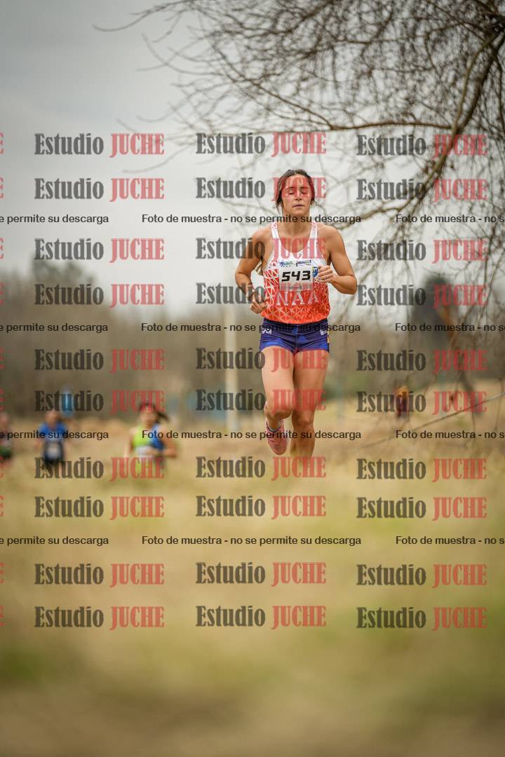 Fotos en el circuito