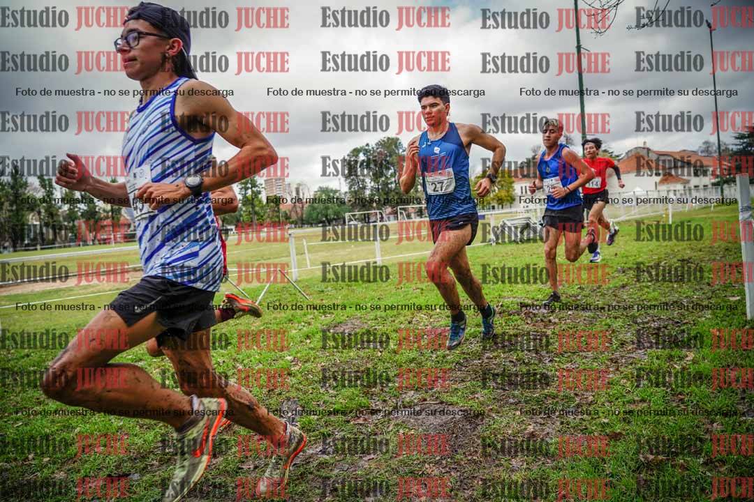 Fotos en el circuito