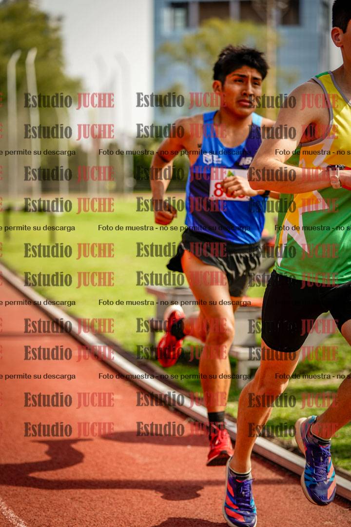 Fotos de los 3000 m llanos de varones