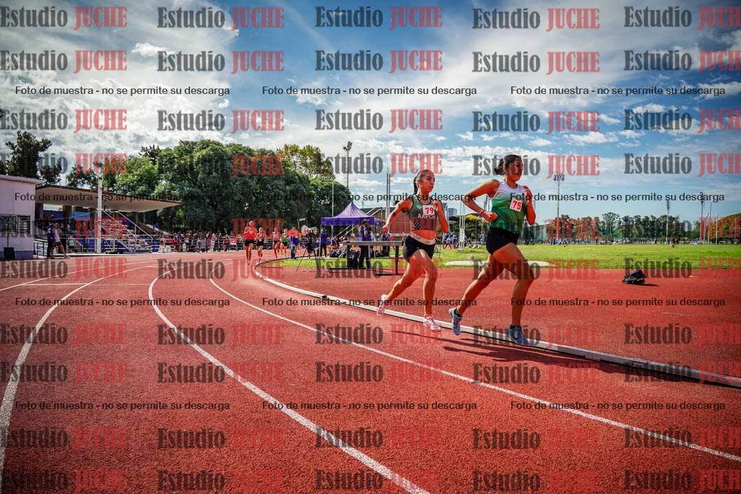 Fotos de los 800 m llanos de mujeres