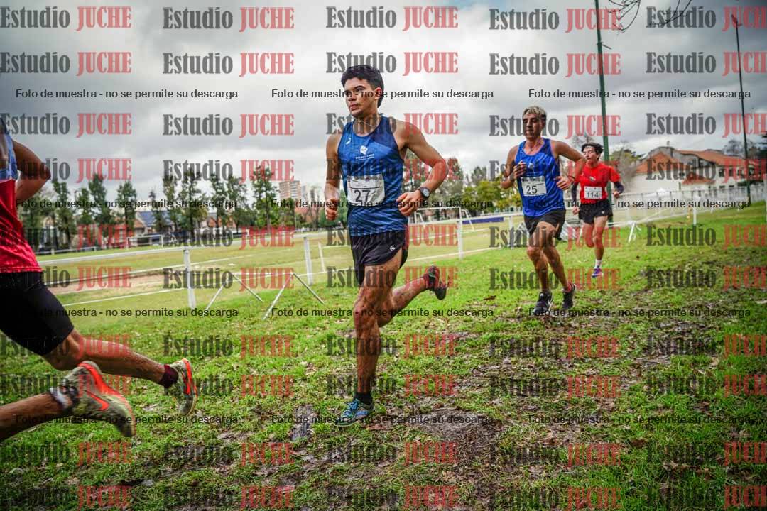 Fotos en el circuito