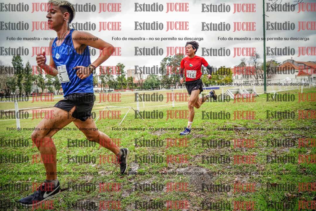 Fotos en el circuito