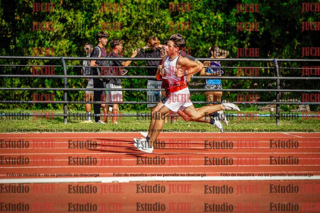 Fotos de los 800 m llanos de varones