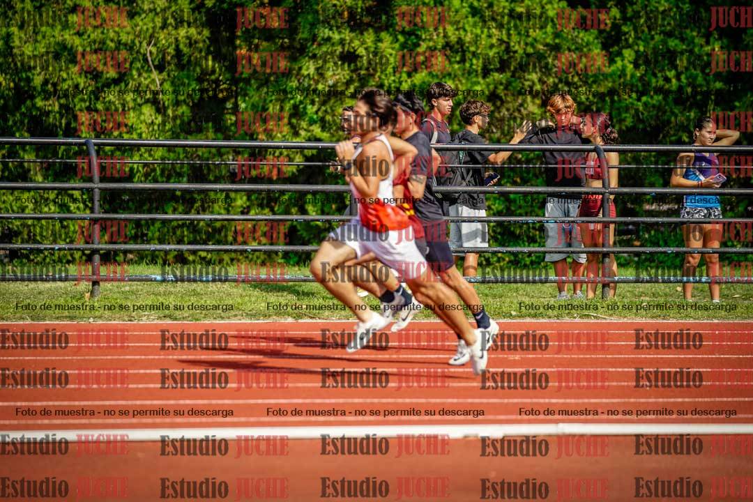 Fotos de los 800 m llanos de varones