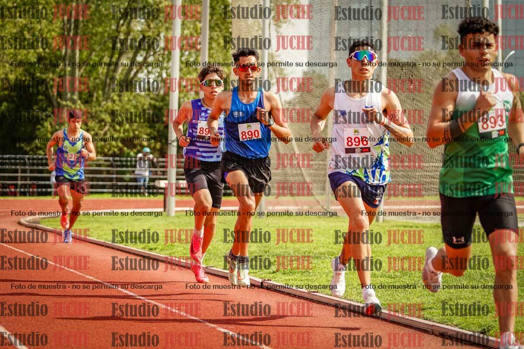 Fotos de los 3000 m llanos de varones