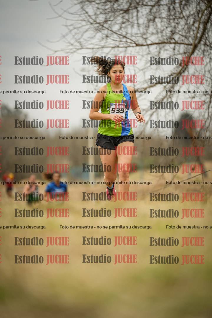 Fotos en el circuito