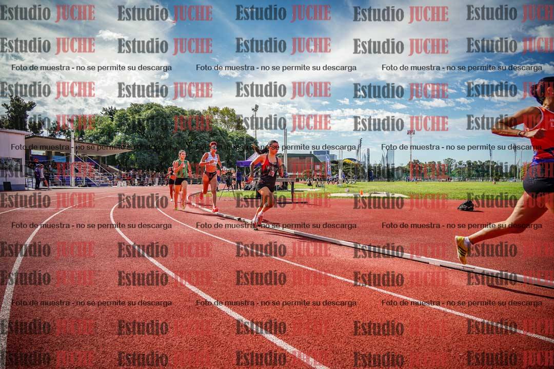Fotos de los 800 m llanos de mujeres