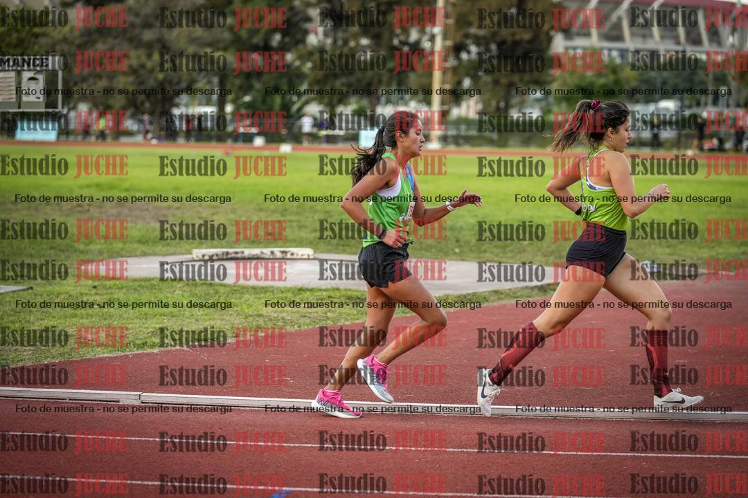 Fotos de los 1500 m llanos de mujeres