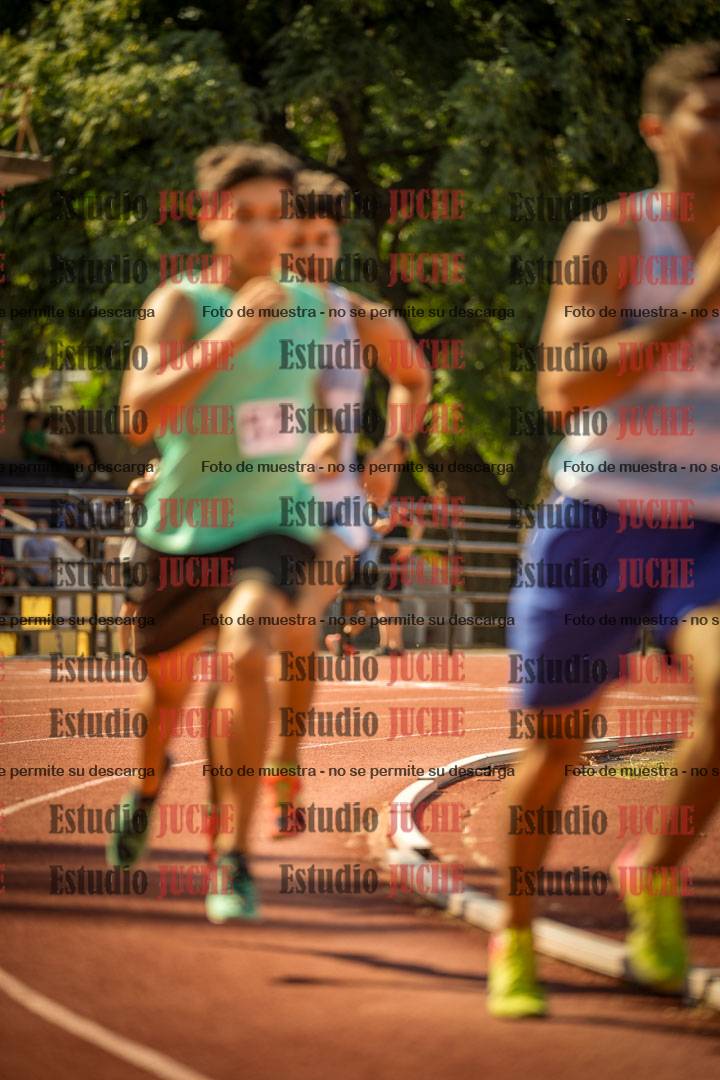 Fotos de los 800 m llanos de varones