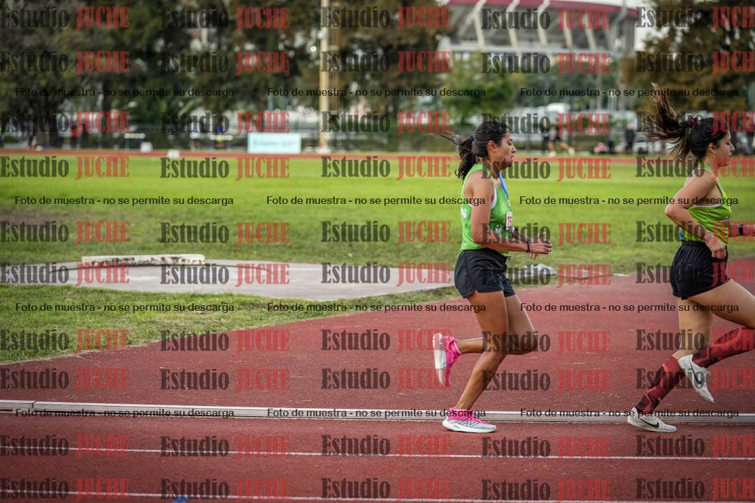 Fotos de los 1500 m llanos de mujeres