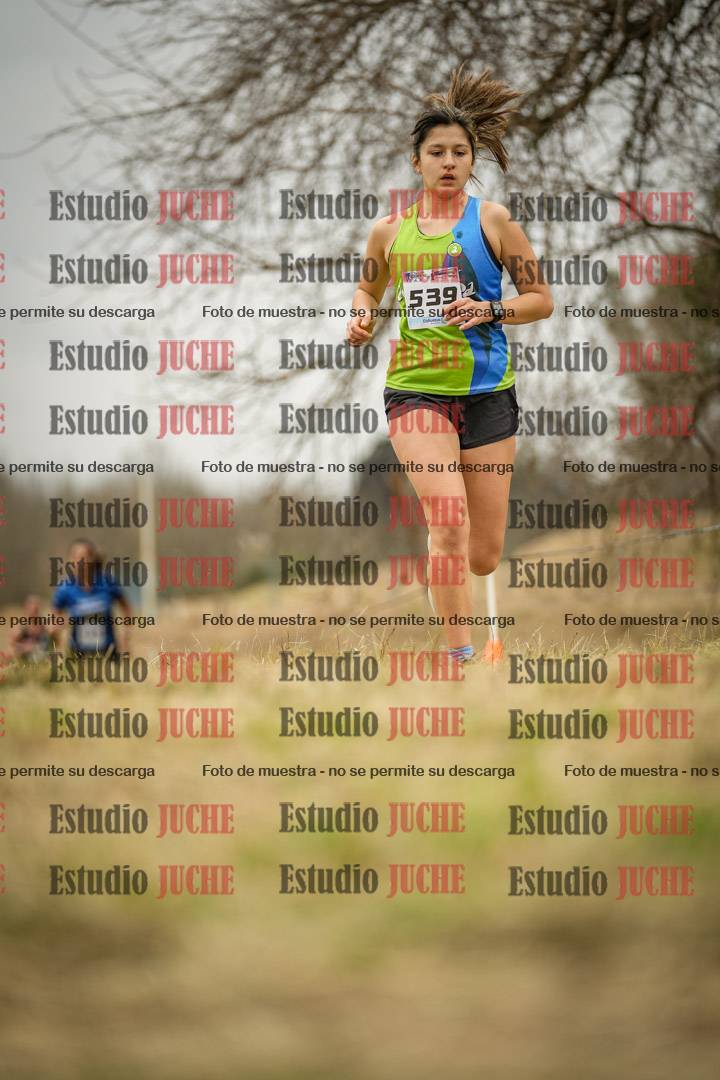 Fotos en el circuito