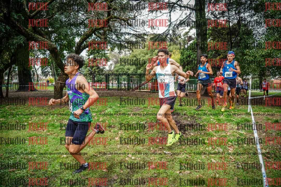 Fotos en el circuito