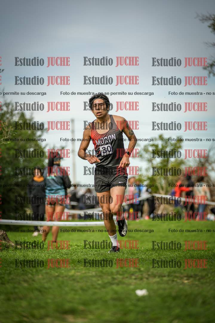 Fotos de la llegada del cross de 8000 m