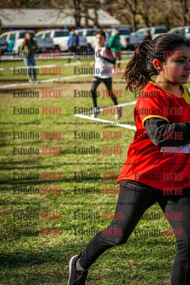 Fotos en el cuarto punto del circuito