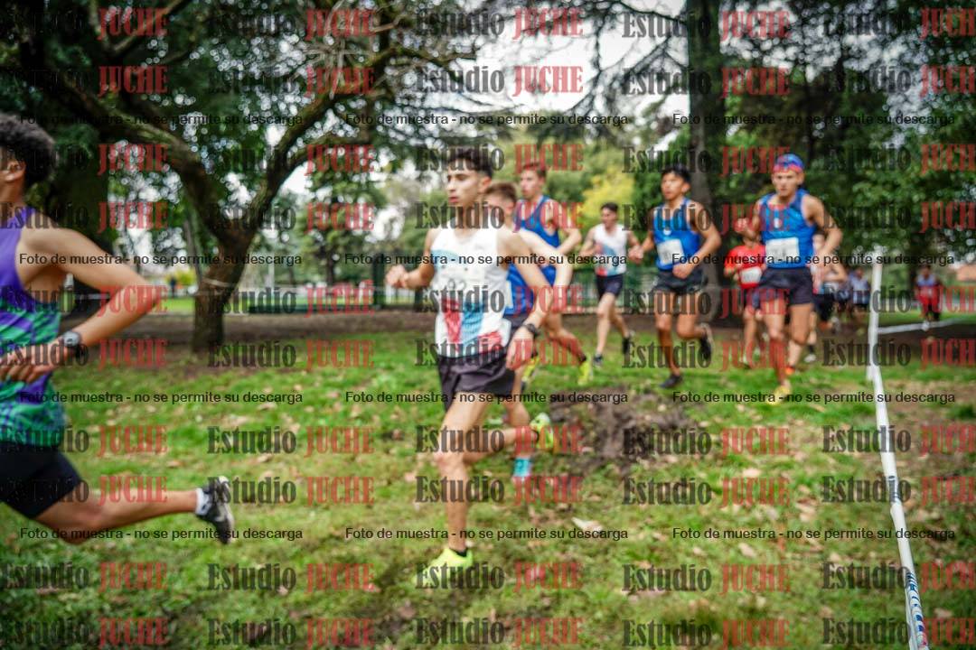 Fotos en el circuito