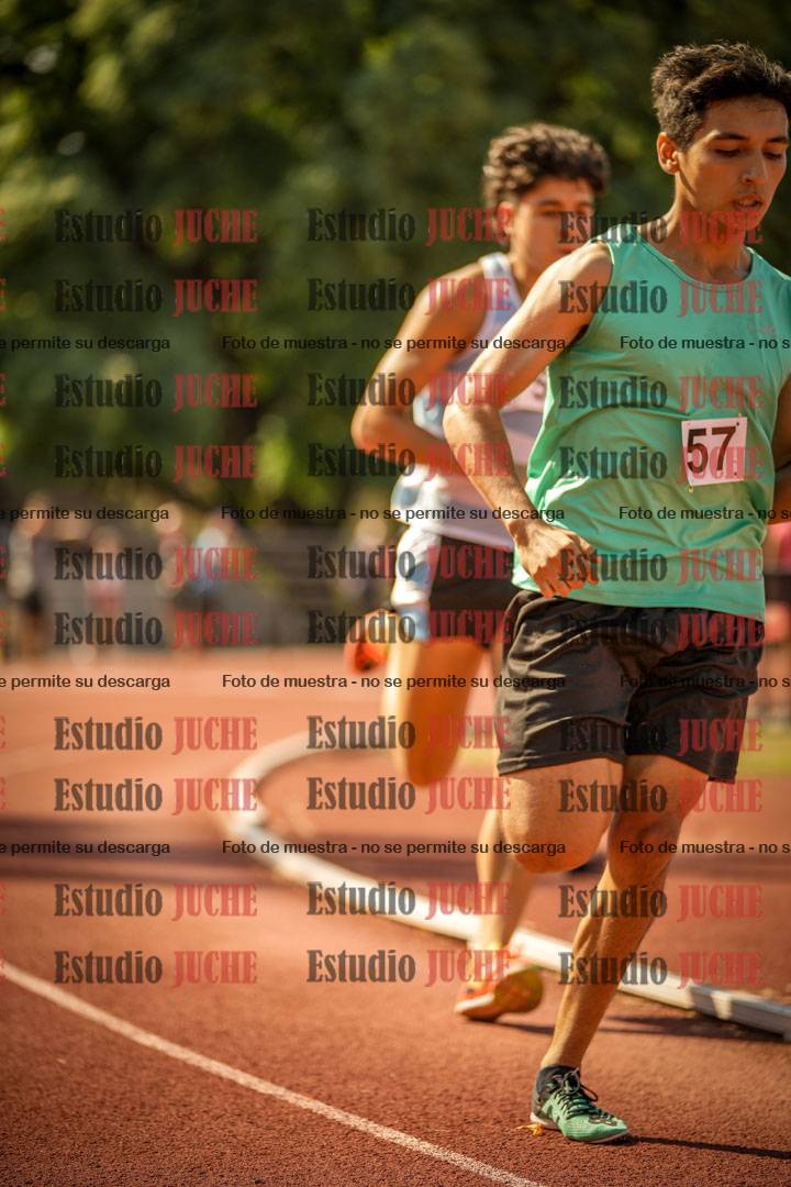Fotos de los 800 m llanos de varones