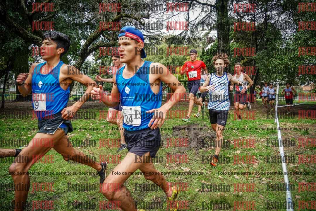 Fotos en el circuito