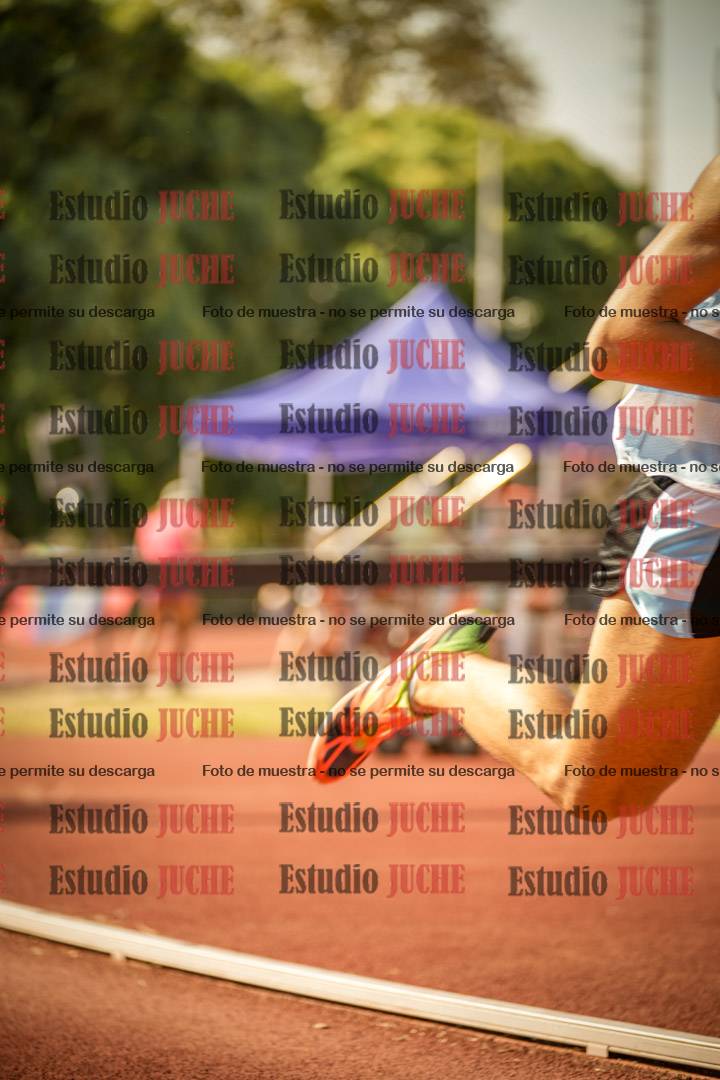 Fotos de los 800 m llanos de varones