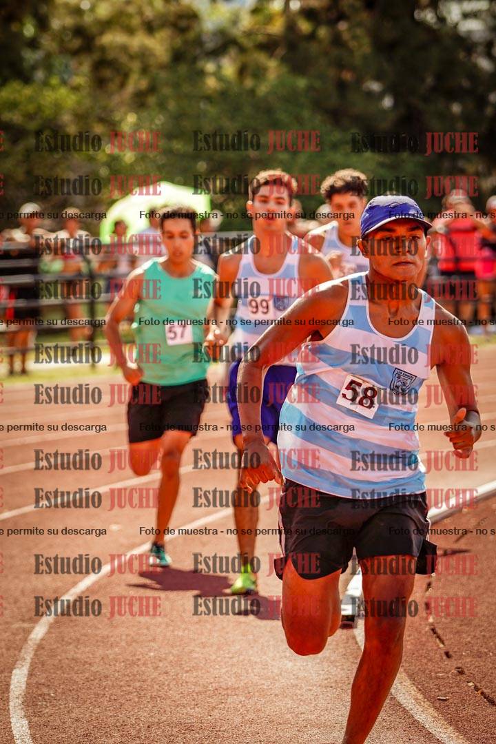 Fotos de los 800 m llanos de varones