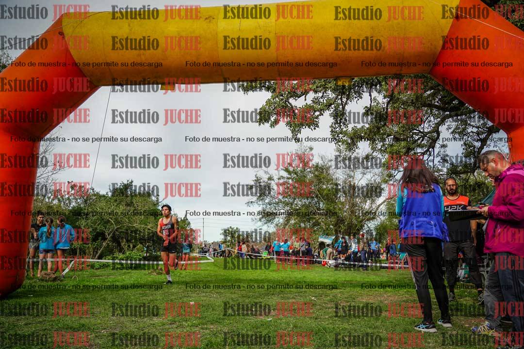 Fotos de la llegada del cross de 8000 m