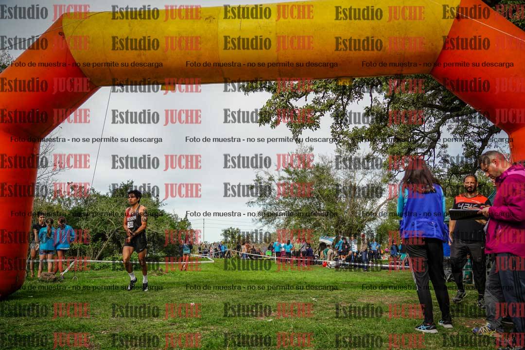 Fotos de la llegada del cross de 8000 m