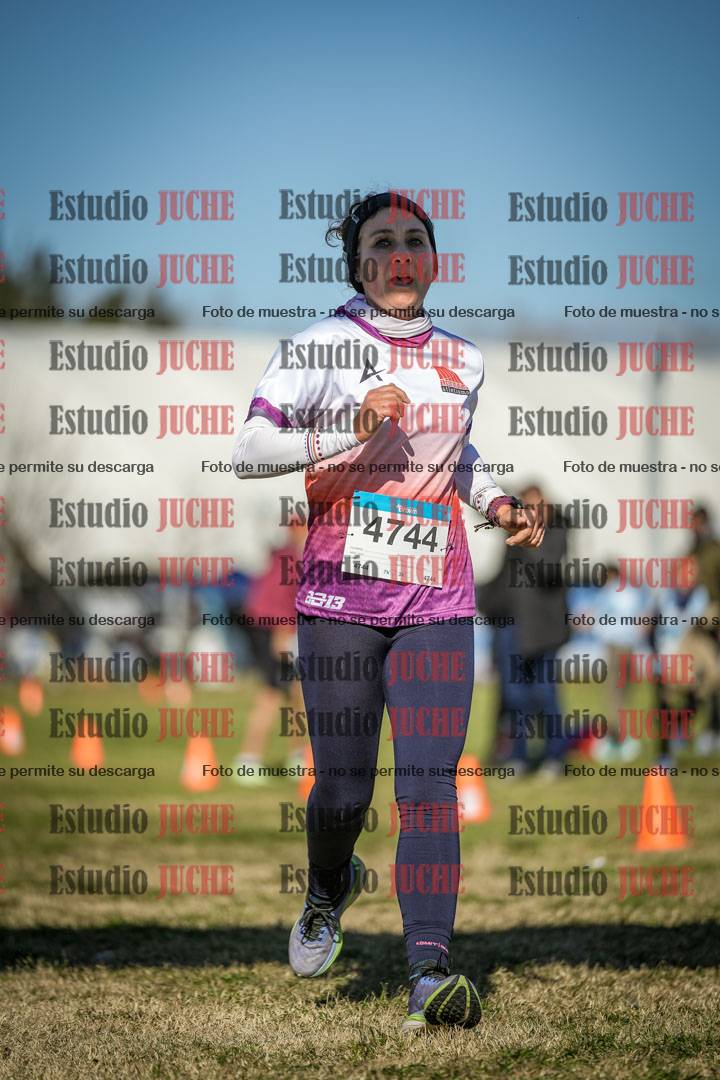 Fotos de las llegadas