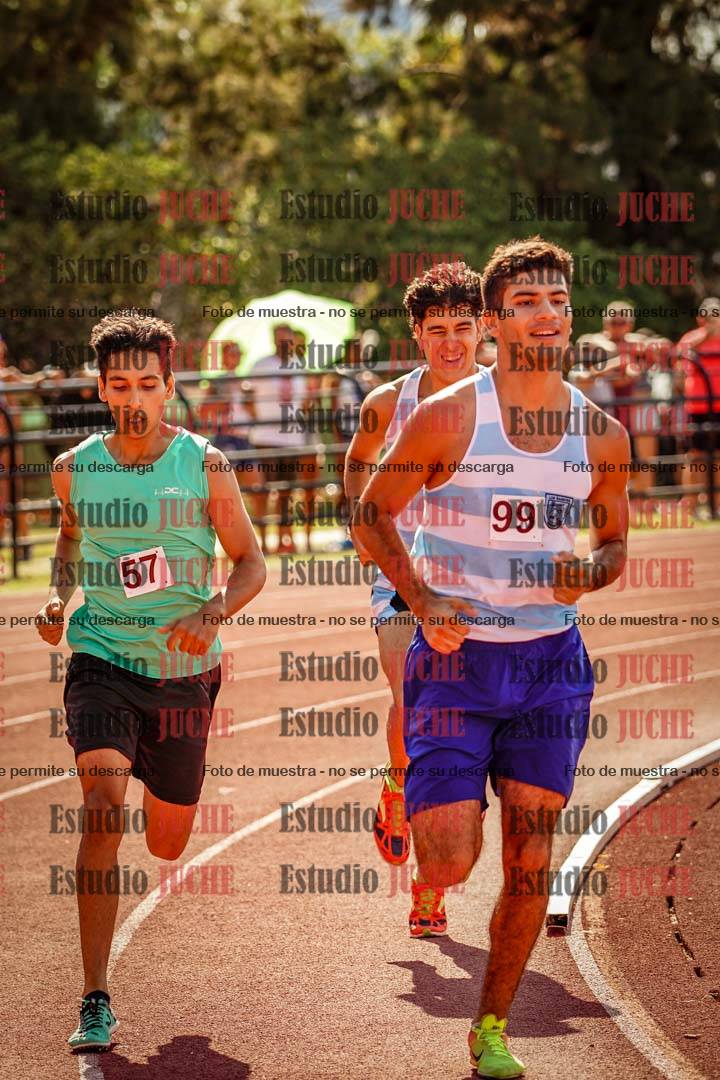 Fotos de los 800 m llanos de varones