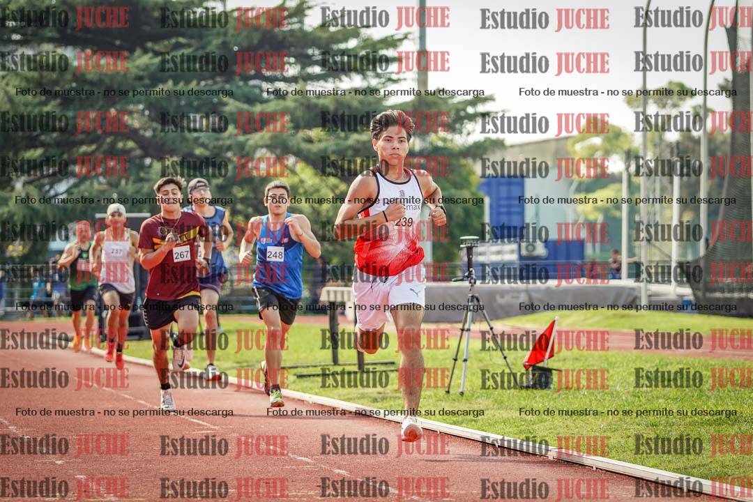 Fotos de los 800 m llanos de varones
