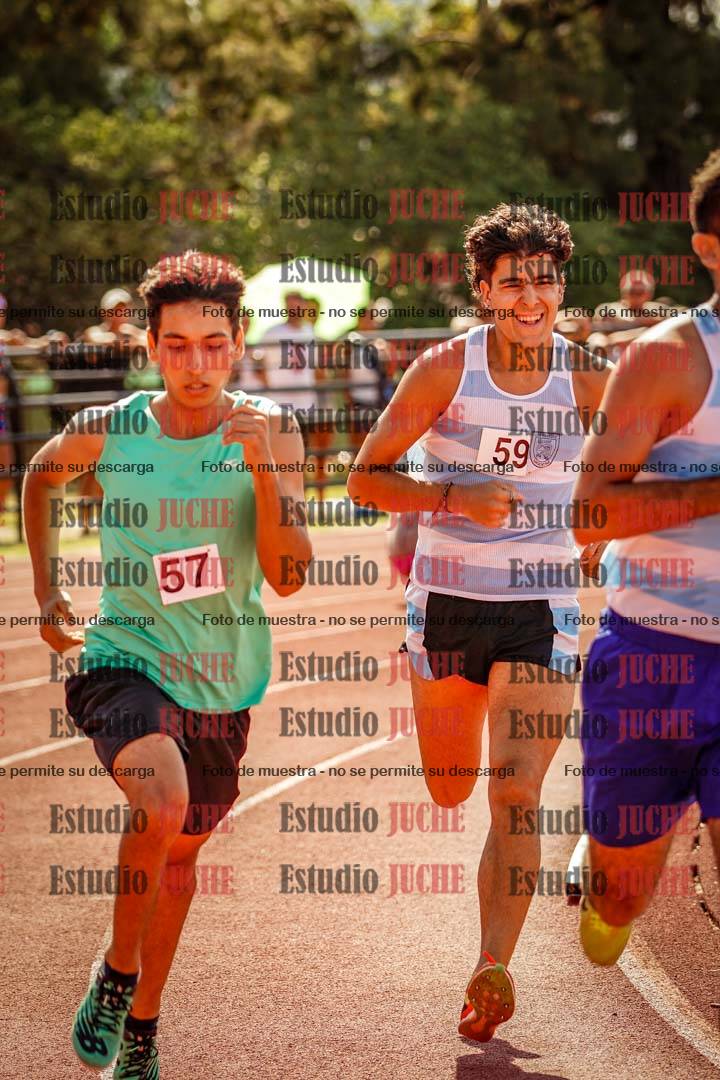 Fotos de los 800 m llanos de varones