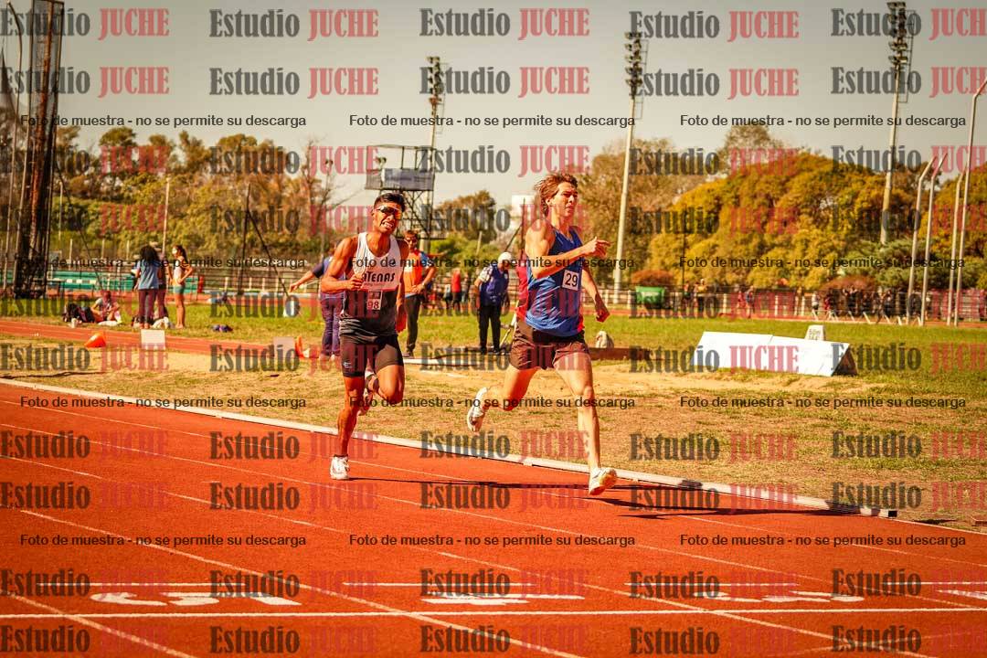 Fotos de los 800 m llanos de varones